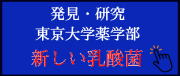 東大乳酸菌バナー_公開用
